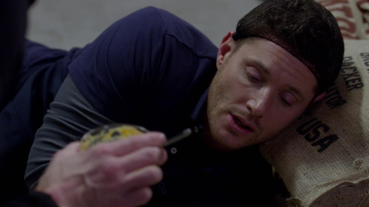 SPN_1133.jpg