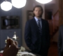 SPN_0243.jpg