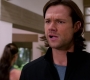 SPN_1060.jpg