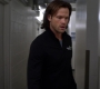SPN_1108.jpg