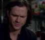 SPN_1130.jpg