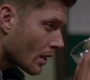 SPN_1682.jpg