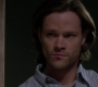 SPN_1705.jpg