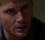 SPN_1753.jpg