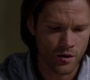 SPN_1783.jpg
