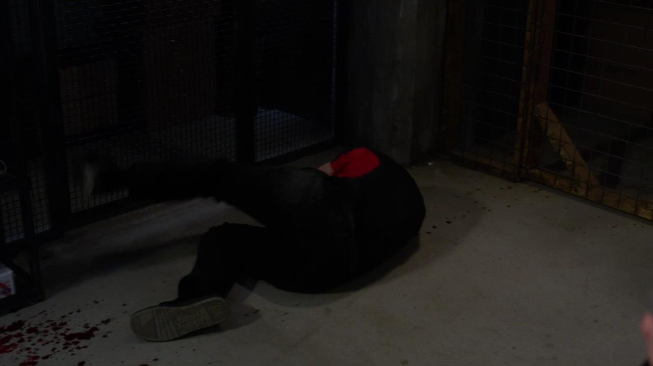 SPN_1232.jpg
