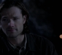 SPN_0488.jpg