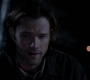 SPN_0492.jpg