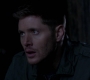 SPN_0503.jpg