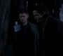SPN_0555.jpg