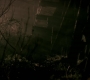 SPN_0625.jpg