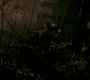 SPN_0626.jpg