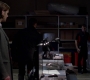 SPN_0855.jpg
