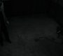 SPN_0914.jpg