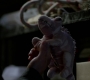 SPN_0926.jpg