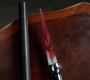SPN_1263.jpg