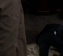 SPN_1289.jpg