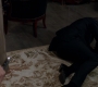 SPN_1291.jpg