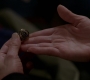 SPN_1423.jpg