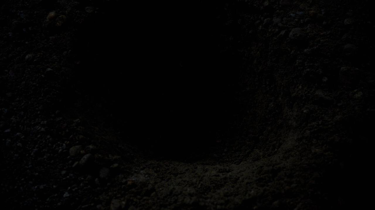 SPN_0161.jpg