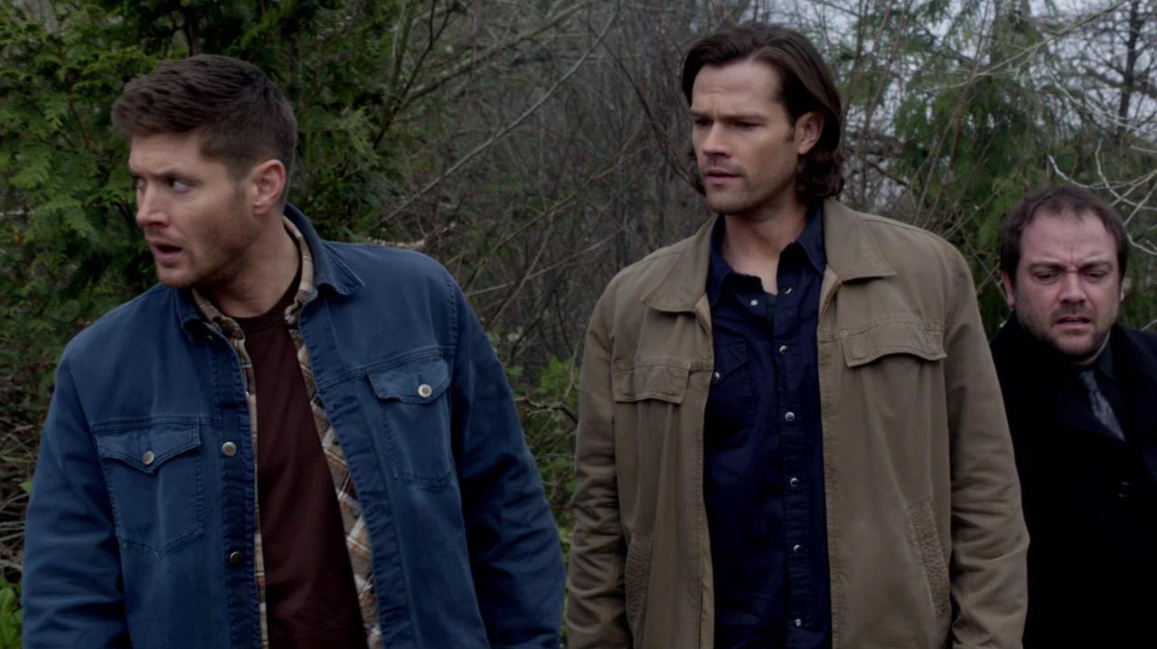 SPN_1006.jpg