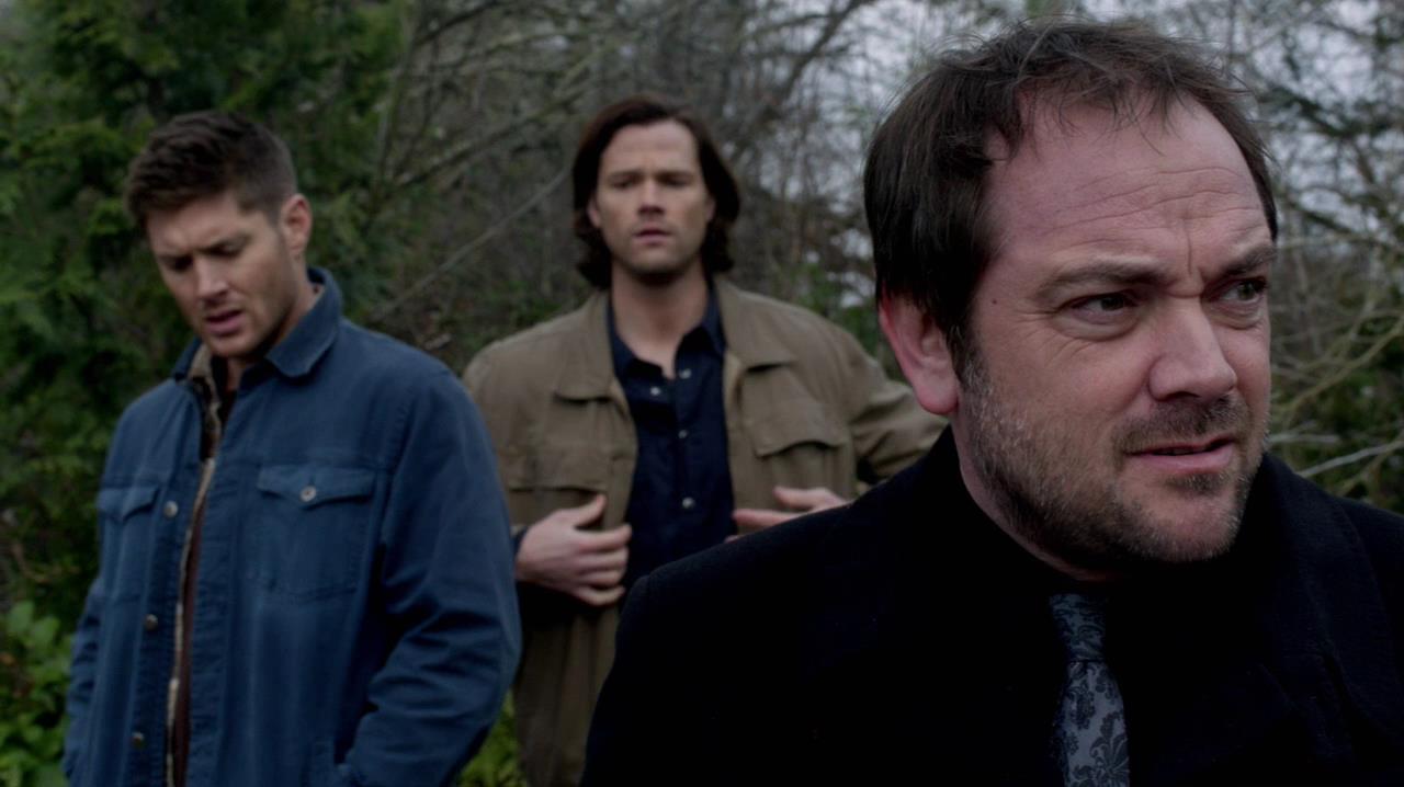 SPN_1015.jpg
