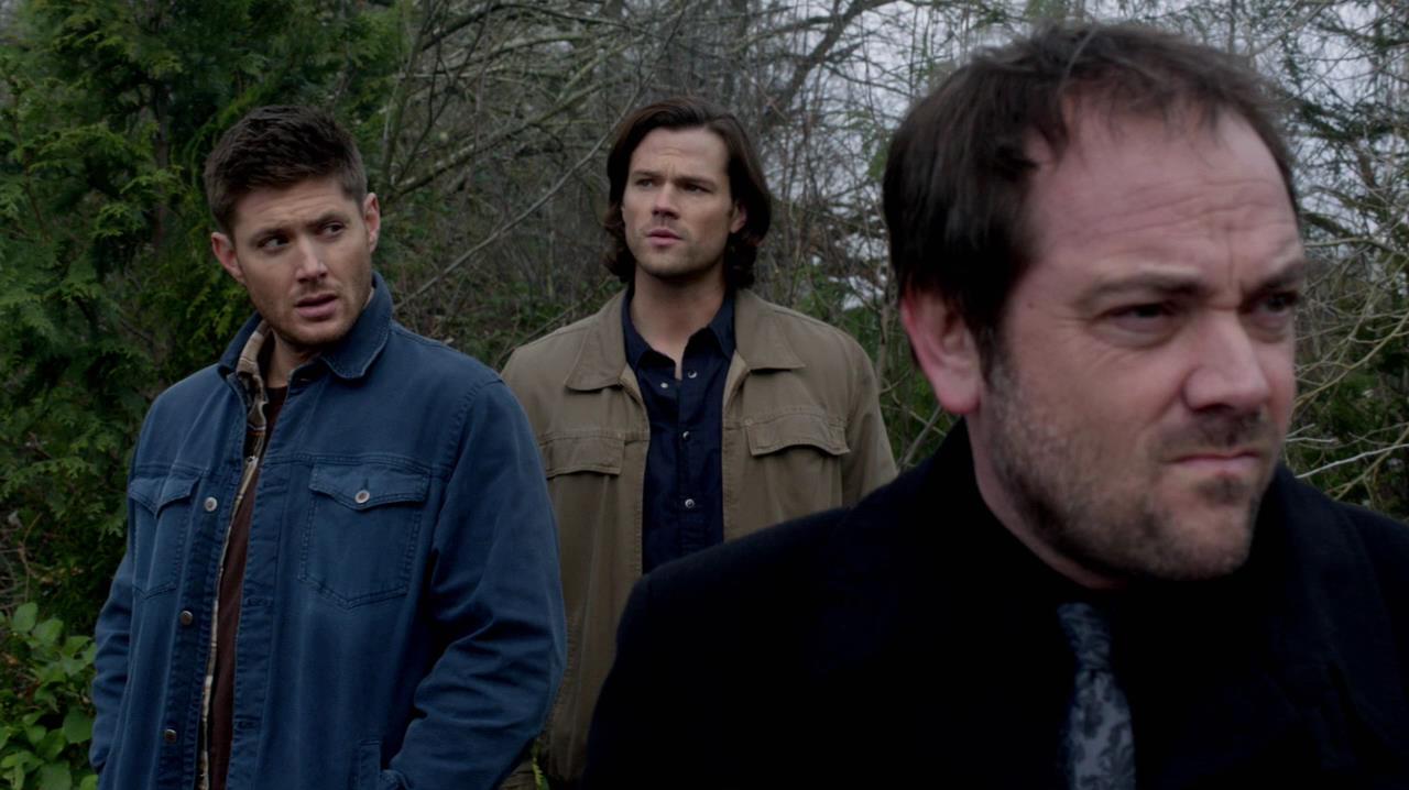 SPN_1017.jpg