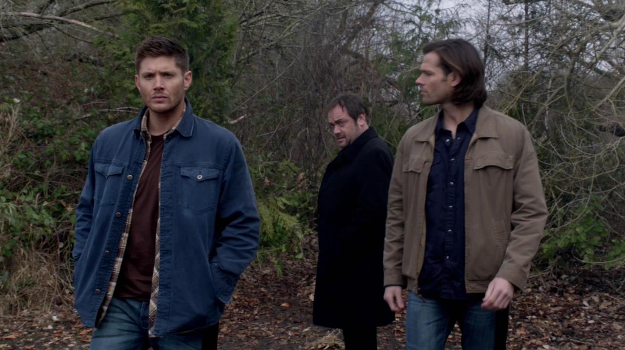 SPN_1024.jpg