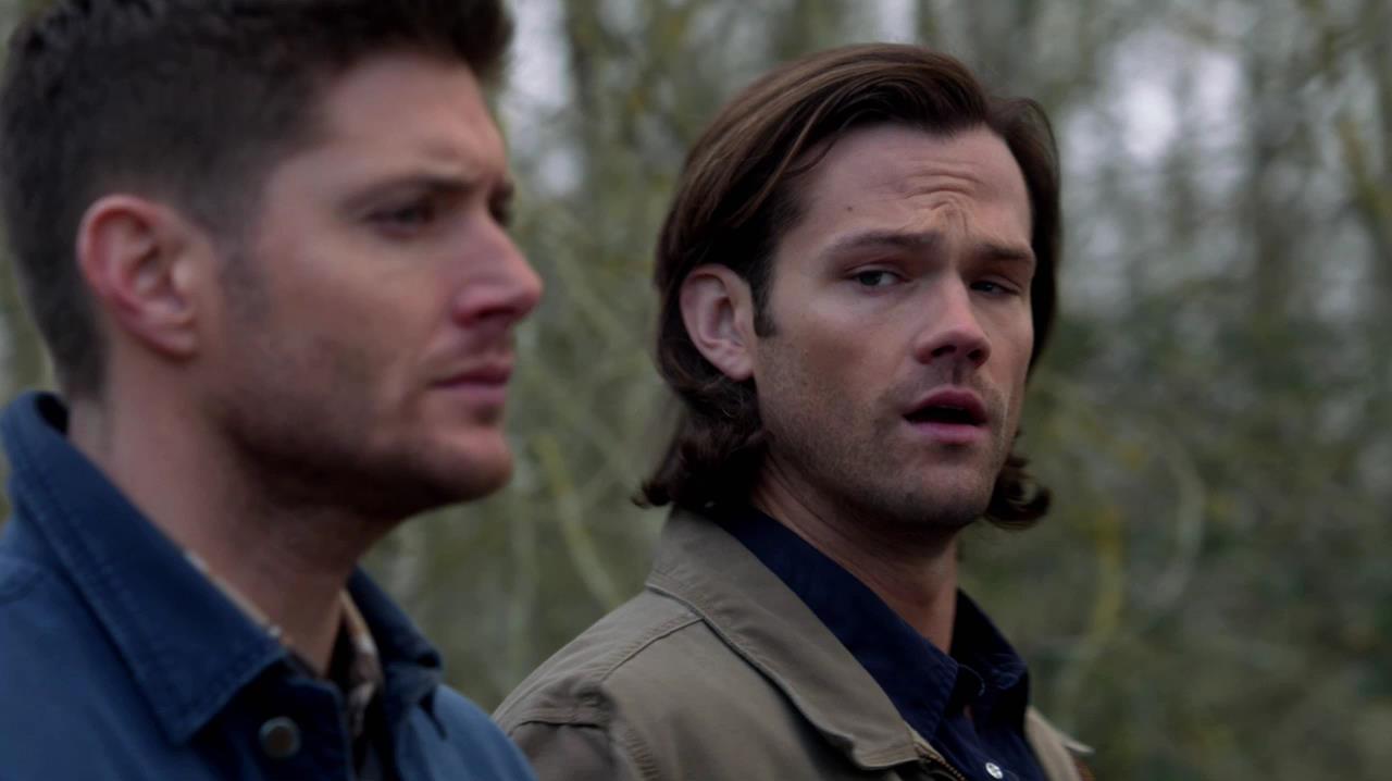 SPN_1029.jpg
