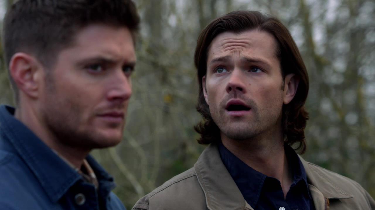SPN_1030.jpg