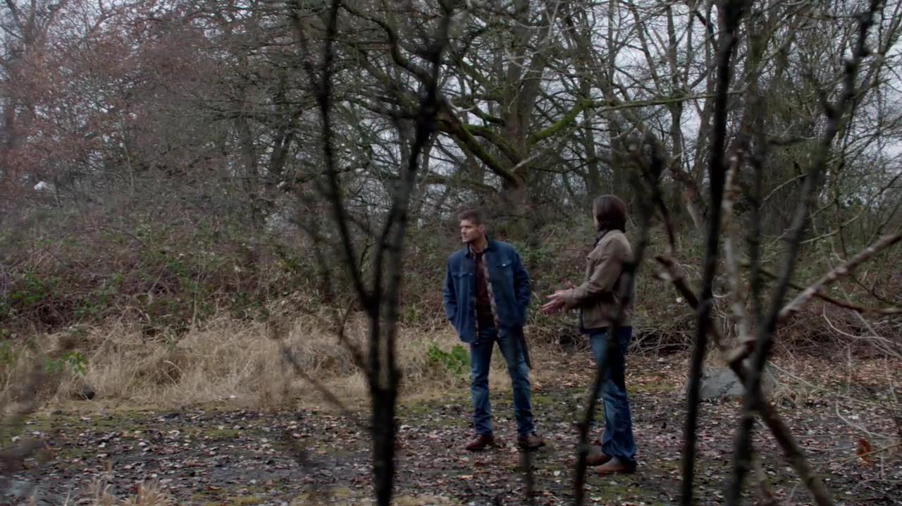 SPN_1031.jpg