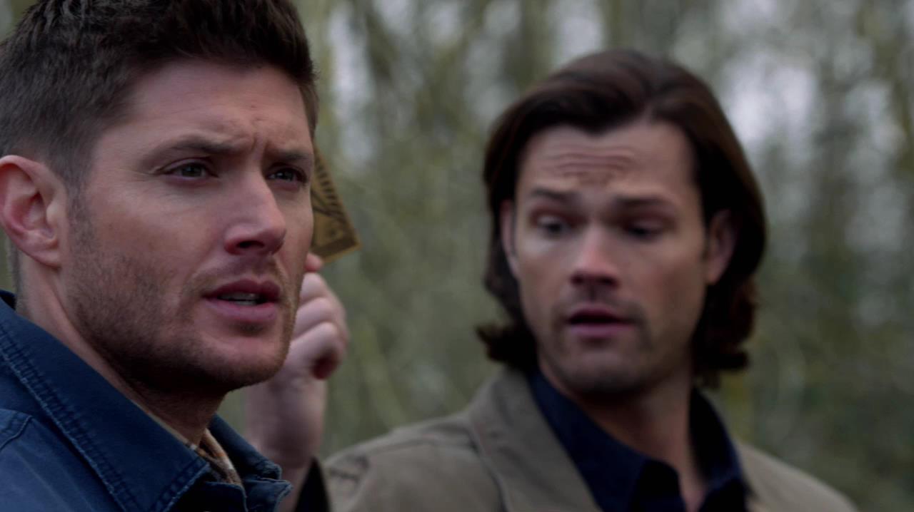 SPN_1037.jpg
