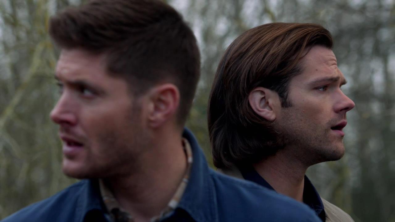 SPN_1041.jpg