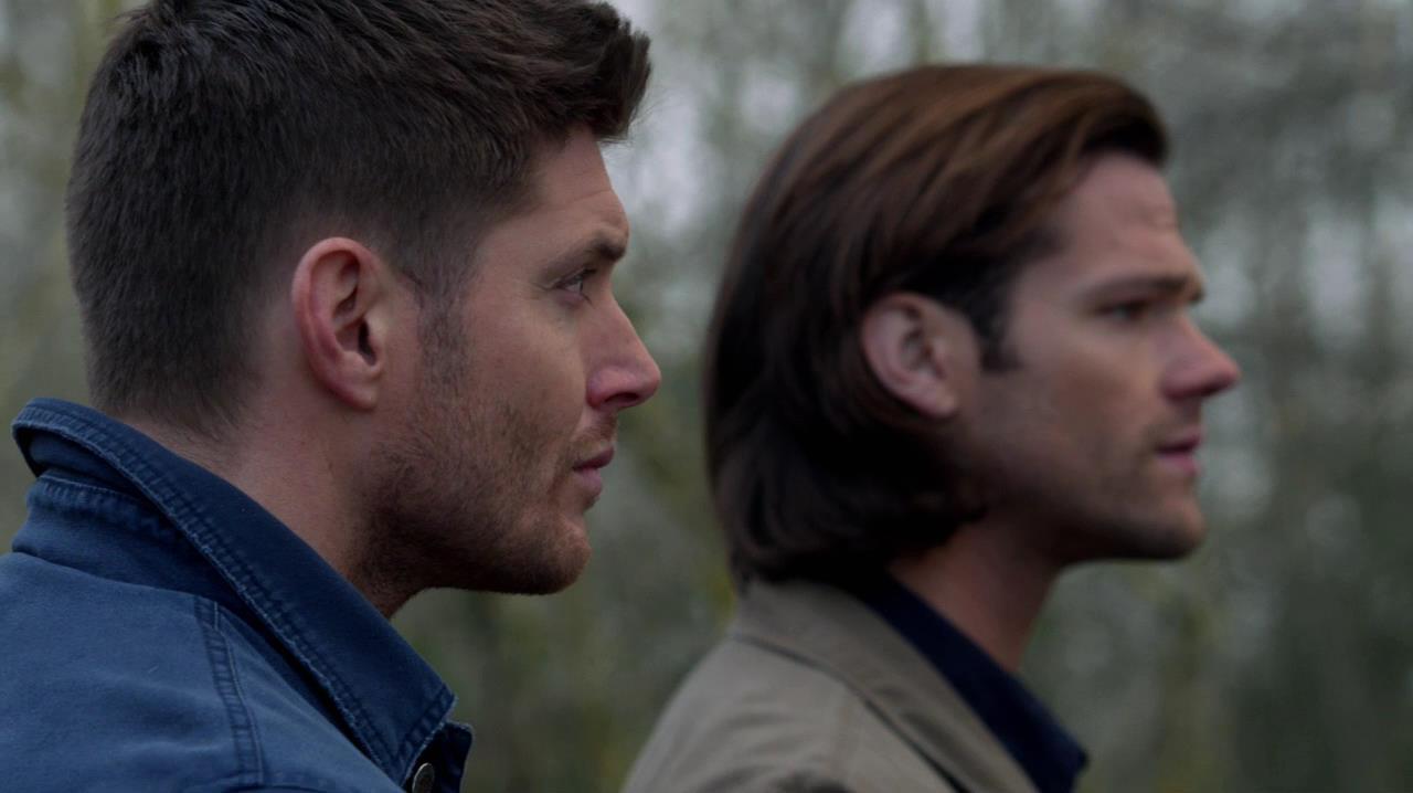 SPN_1050.jpg