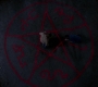 SPN_0173.jpg