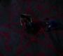 SPN_0176.jpg