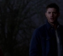 SPN_0199.jpg