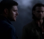 SPN_0204.jpg