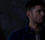 SPN_0231.jpg
