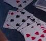 SPN_0703.jpg