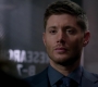 SPN_0829.jpg