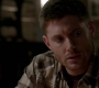 SPN_0992.jpg