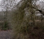 SPN_1001.jpg
