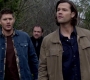 SPN_1004.jpg