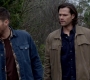 SPN_1006.jpg