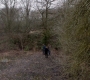 SPN_1011.jpg