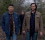 SPN_1027.jpg