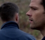 SPN_1042.jpg