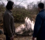 SPN_1065.jpg