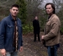 SPN_1069.jpg